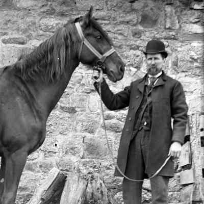 Henry T. Wantz & horse