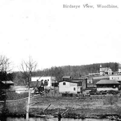 Woodbine