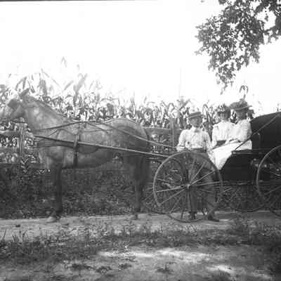 Horse and Buggy