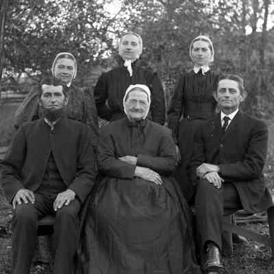 6 adults