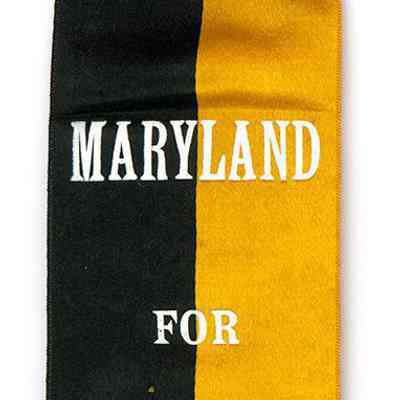 ribbon, political