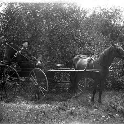 Wilmer "Dates" Myers & horse & buggy