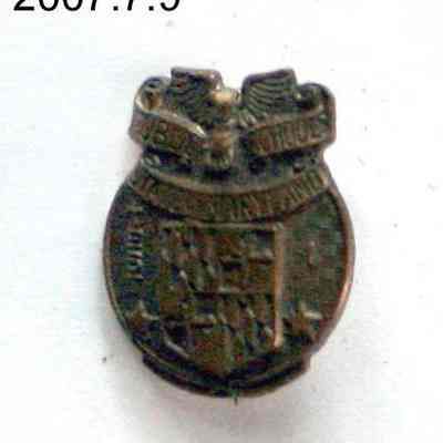 pin, lapel