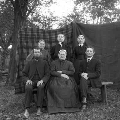 6 adults