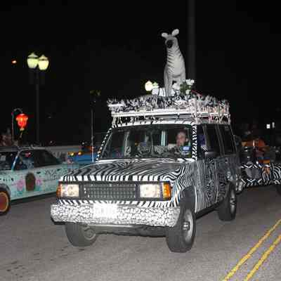 261, Zebra Princesses Chariot, Janet Snider