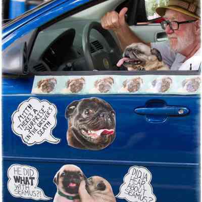 054, Pugs against Romney, John Clack