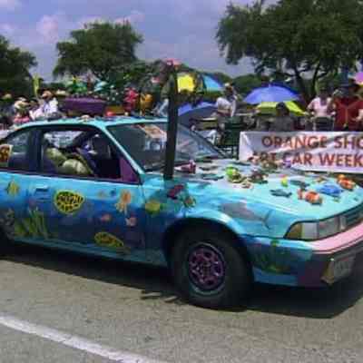 056, Tortuga Car - Save the Sea Turtle, Georgia Redonet