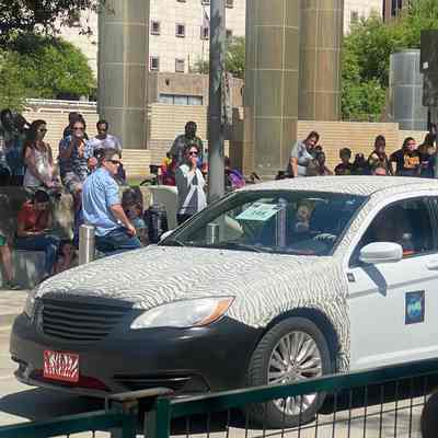 145, Mille the Hot Wheel Zebra, Susan DeHart