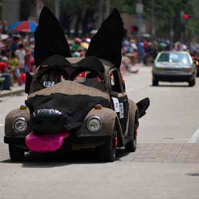087, Shep, the Rescued German Shepherd, Orange Show