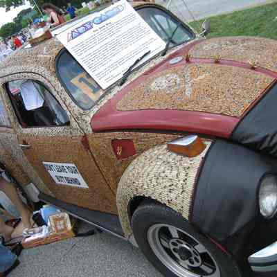122, The Stink Bug, Carolyn Stapleton