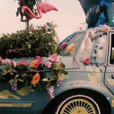 Car Den of Eden, Lucy Chambers, St.Johns School