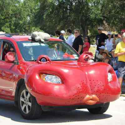 260, Cheerio - the Hippo Car, Sue Shefman