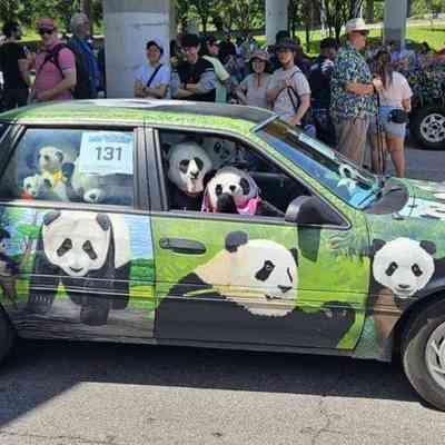 084, Kelly Packard-Rowley and Jim Robertson, Pandamonium