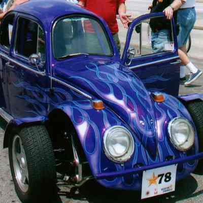 078, BugWing, Rex Rosenberg