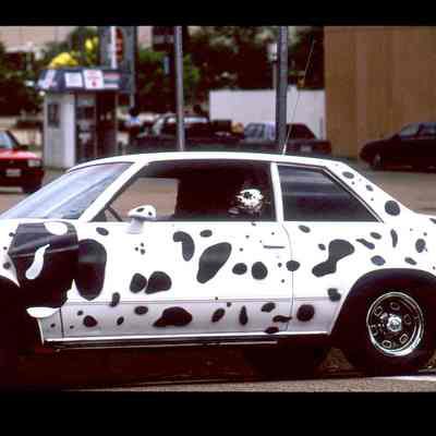 099, Dalmation Car, Tom B. Hayden