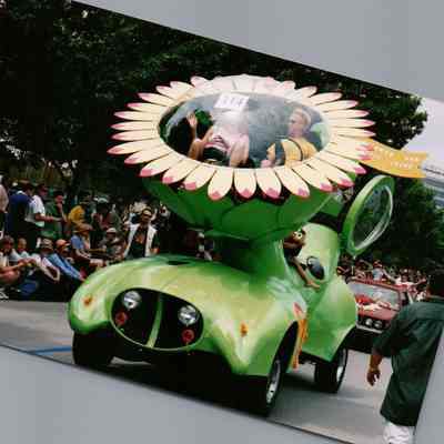 114, The Sunflower Car, Timothy Young