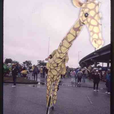 019, Giraffe, Jon Echols