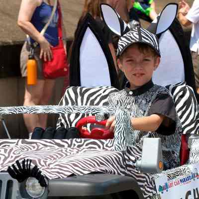 164, Zebra Bike, Joel Seymour