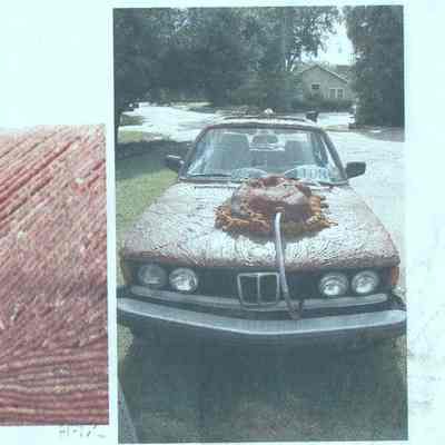 068, Muscle Car, Joe Parani