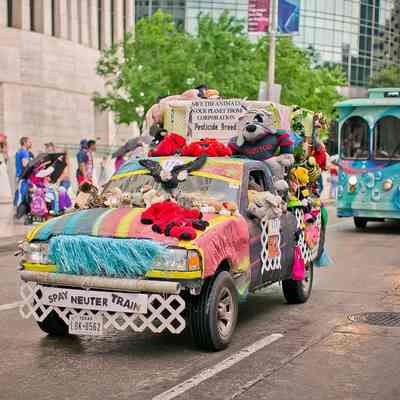 170, Save the Animals and Our Planet, Jaki Lee