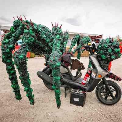 The Spooter- A Spider Scooter, William Workman