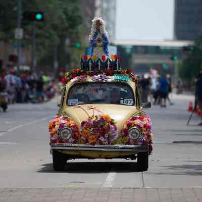 147, Flora, Carolyn Stapleton