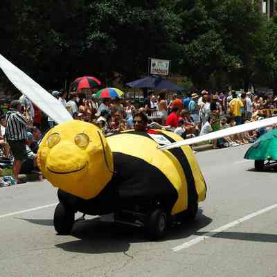 016, The KART-toon Bee, Jonathan Cohen