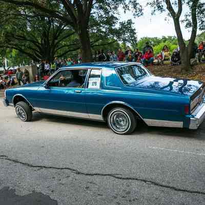 179, 87 Caprice, Vicky Sapon