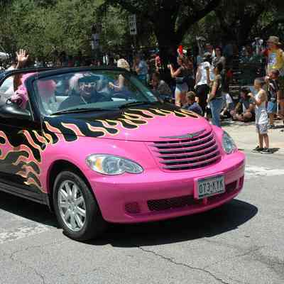 147, Pink Poodle Citizens for Animal Protection, Doris Lee