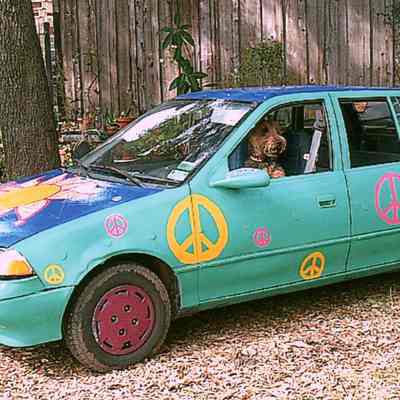 049, Peace, Alice Evergreen
