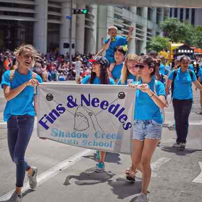 021, Fin and Needles, Courtney Werden