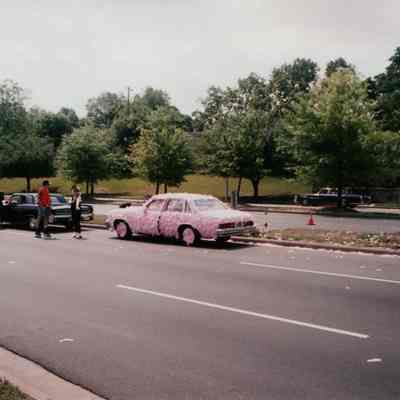 NA, Feather Car, Sasha Summer