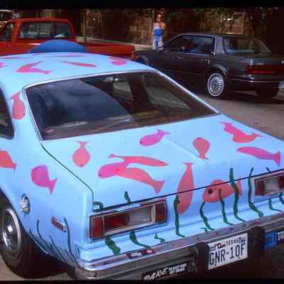028, Pink Salmon, Don Moser