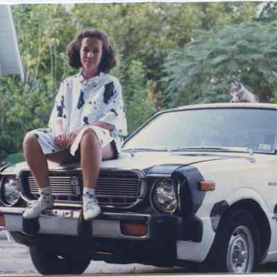 26, Cow Car, Susan Stone