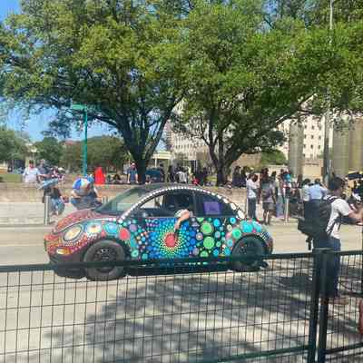 182, The Mandala Bug, Kenneth Crimmins