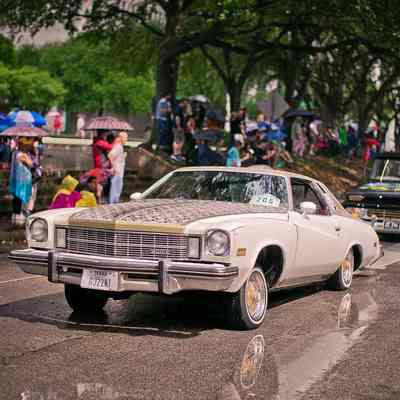 205, Boulevard Bucket, Gilbert Flores