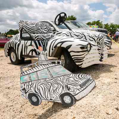 Zebra something, Amy Lynch Kolflat