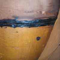          1900 Birch Bark Canoe 10' picture number 2
   