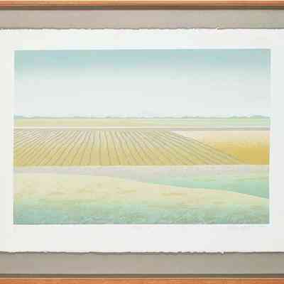 Fields V 19/20