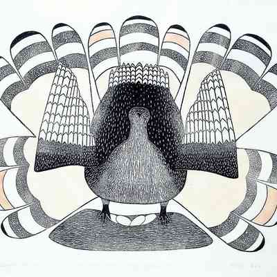 Disturbed While Nesting