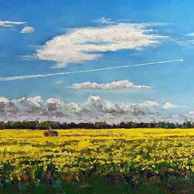 Alberta Field & Sky