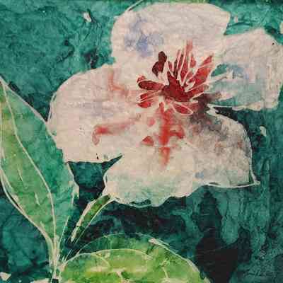 White Flower