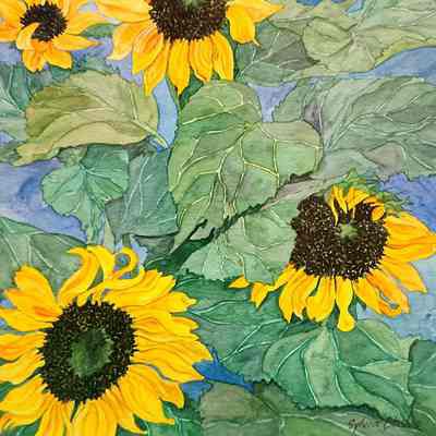 The Sunflower Variations