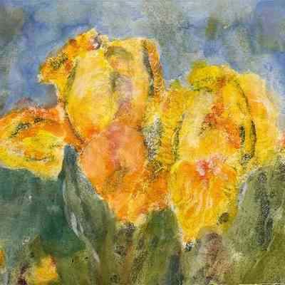 Golden Iris