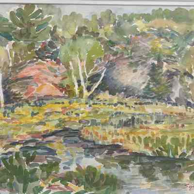 Cranberry Bog: Evening Light (Killarney)