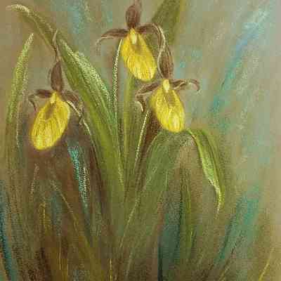 Lady Slippers