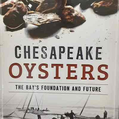 Chesapeake Oysters, The Bay's Foundation and Future