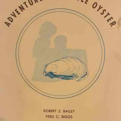 The Adventures of Little Oyster