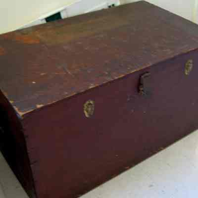 Trunk