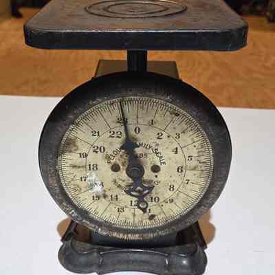 Scale